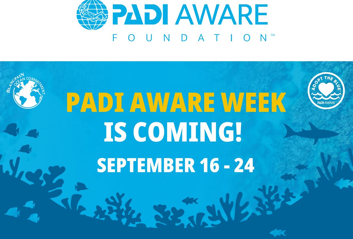 Ankündigung AWARE Week ab 16Sept23